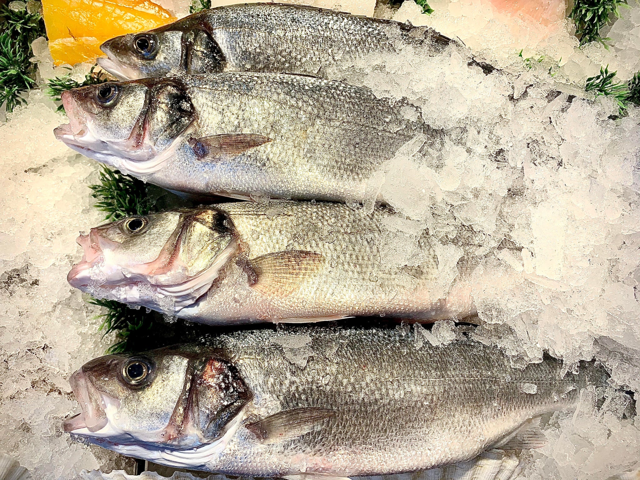 Fresh Fish – Page 2 – Tarbetts
